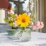 Domizil Am Park Sanssouci 別荘