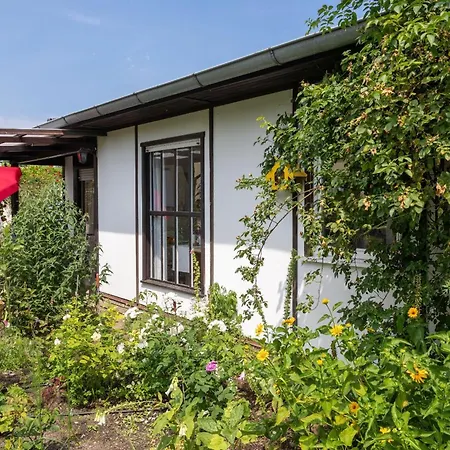 Domizil Am Park Sanssouci 波茨坦