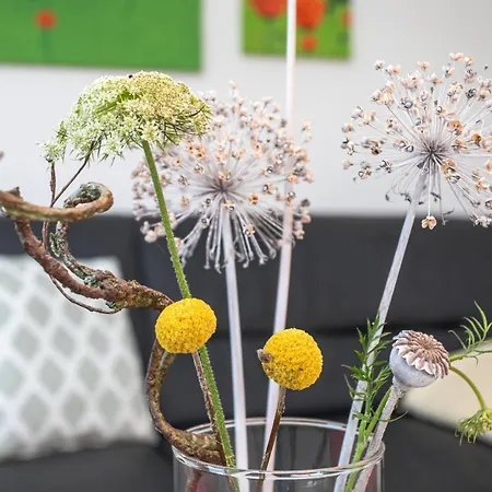 Domizil Am Park Sanssouci 度假居 波茨坦