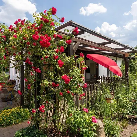 度假居 Domizil Am Park Sanssouci *