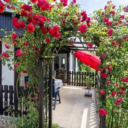 度假居 Domizil Am Park Sanssouci *