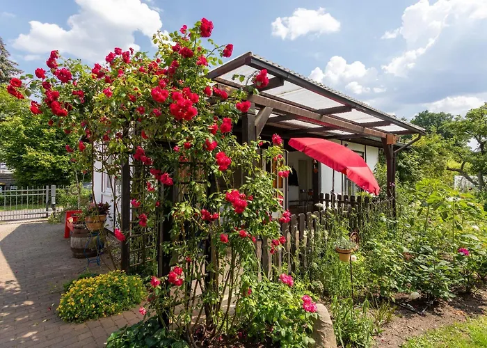 度假居 Domizil Am Park Sanssouci *