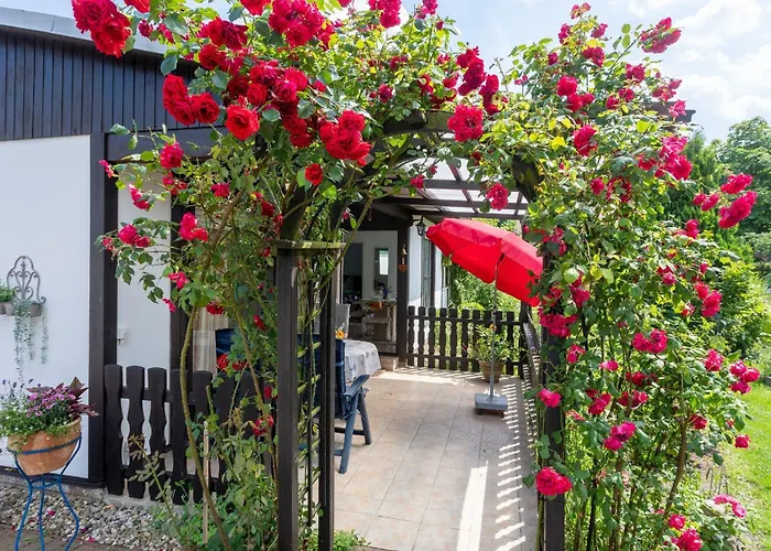 度假居 Domizil Am Park Sanssouci *