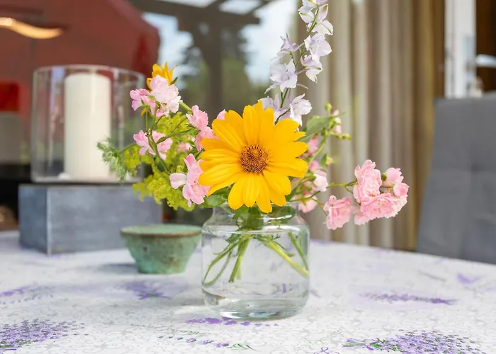 Domizil Am Park Sanssouci 度假居